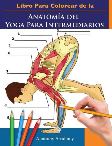 Libro Para Colorear de la Anatomía del Yoga Para Intermediarios: 50+ Ejercicios de Colores con Posturas de Yoga Para Intermediarios El Regalo Perfecto ... Maestros y Aficionados (Spanish Edition)