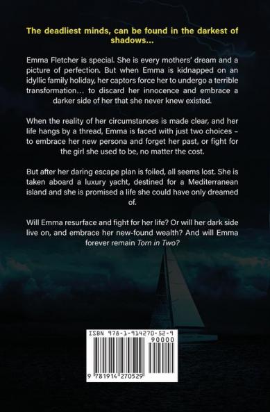 Torn In Two: A British Crime Thriller Novel: 1 (The Frankie Black Files)