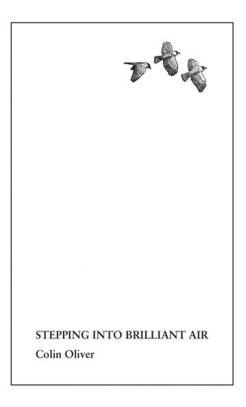 Stepping Into Brilliant Air