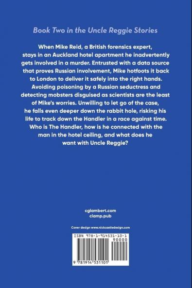 The Man In The Hotel Ceiling