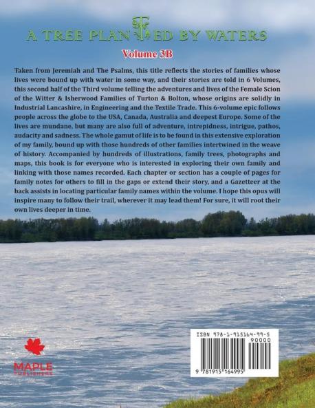 A Tree Planted By Waters: Volume 3-B