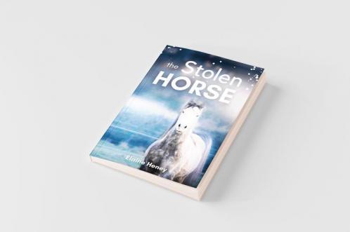 The Stolen Horse - Book 4 in the Connemara Horse Adventure Series for Kids | The Perfect Gift for Children age 8-12