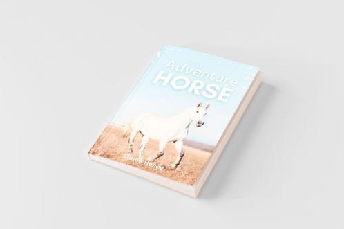 The Adventure Horse - Book 5 in the Connemara Horse Adventure Series for Kids