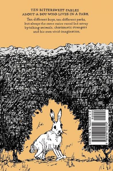 A boy in a park: tales of wonder and despair