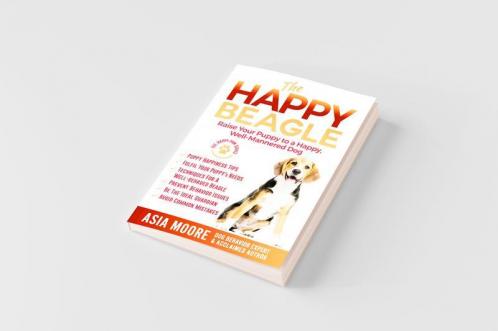 The Happy Beagle