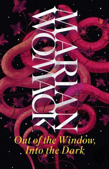 Out of the Window Into the Dark