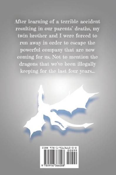 The Lost Dragon: 1 (The Dragon Twins)