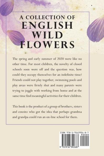 A Collection of English Wild Flowers