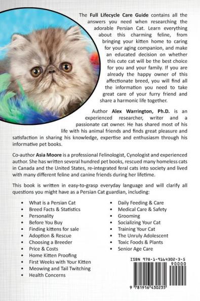 Persian Cat: From Kitten to Senior Age