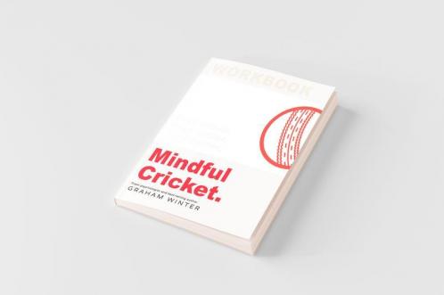 Mindful Cricket