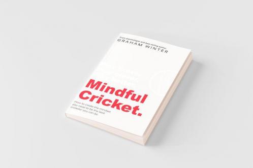 Mindful Cricket