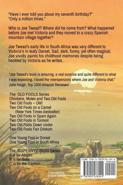 One Young Fool in South Africa - LARGE PRINT: Prequel: 2 (Old Fools Prequel Large Print)