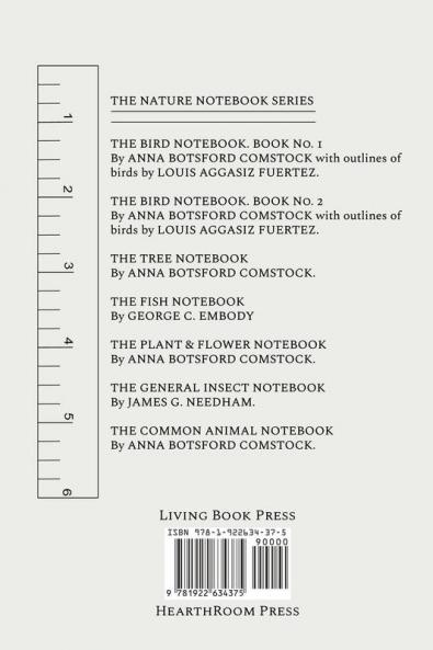 Notes on Insects