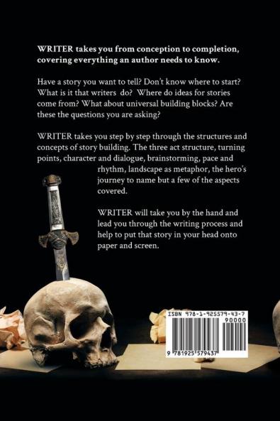 Writer: How to Write Short Stories Novellas and Novels