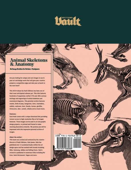 Animal Skeletons and Anatomy