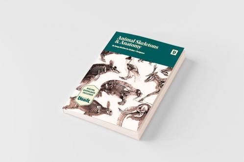 Animal Skeletons and Anatomy
