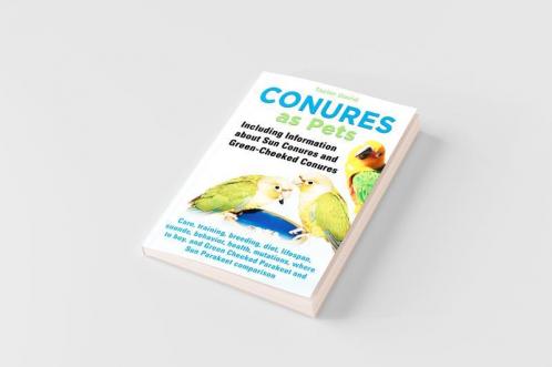 Conures as Pets - Including Information about Sun Conures and Green-Cheeked Conures