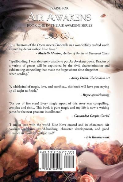 Air Awakens (Air Awakens Series Book 1)