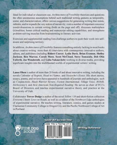 Architectures of Possibility: After Innovative Writing