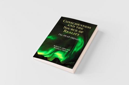 Consciousness and the Source of Reality