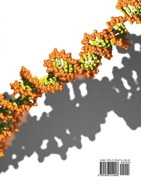 Focus On High School Chemistry Student Textbook (softcover)