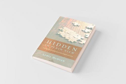Hidden in Plain View