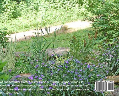 Summer in the Creasey Mahan Nature Preserve