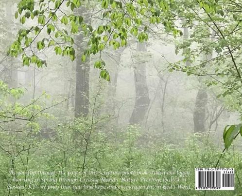 One Foggy Morning in Spring