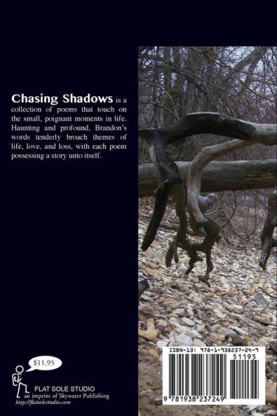Chasing Shadows