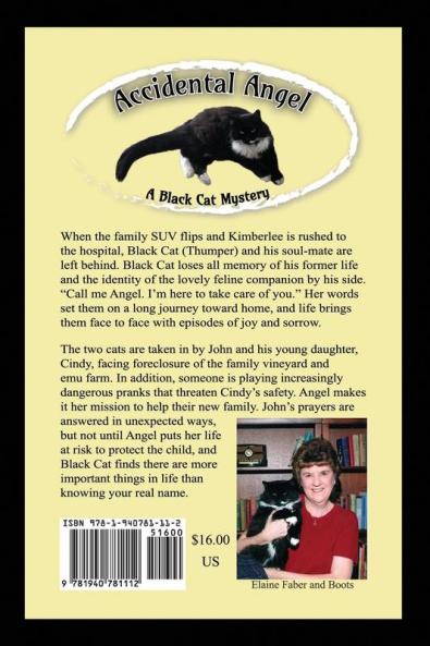 Black Cat and the Accidental Angel