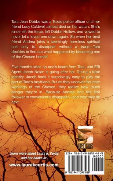 Lost: A Harp Security Novel