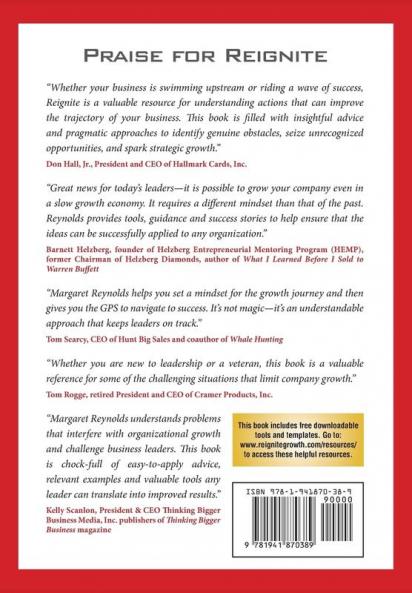 Reignite: How Everyday Companies Spark Next Stage Growth