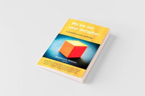 We Are Not Your Metaphor