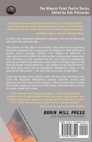 Fair Day in an Ancient Town: Poems: 3 (Mineral Point Poetry)