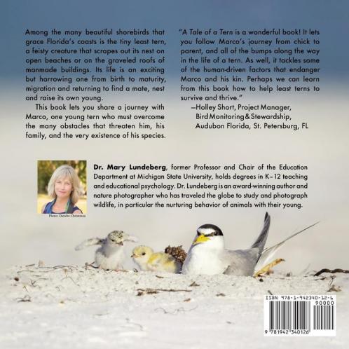 A Tale of a Tern
