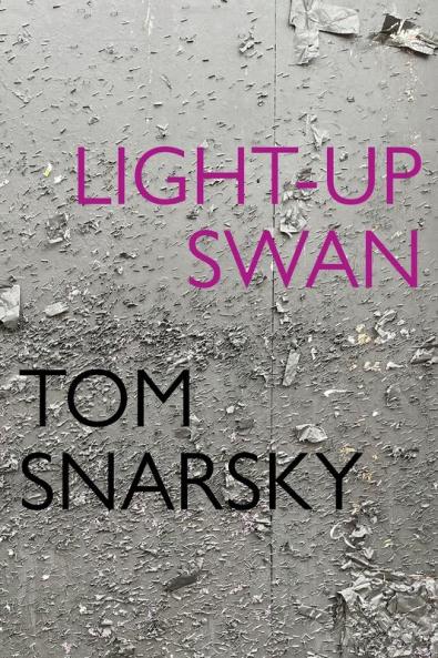 Light-Up Swan