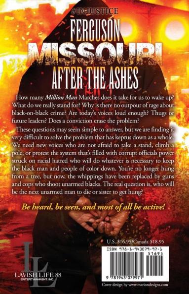 Ferguson Missouri: After The Ashes