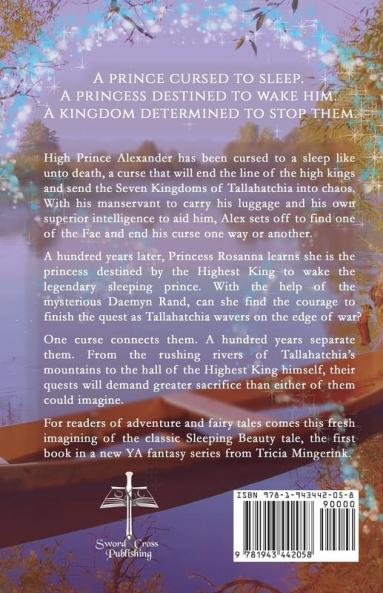 Dagger's Sleep: A Retelling of Sleeping Beauty: 1 (Beyond the Tales)