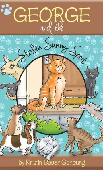 George and the Stolen Sunny Spot