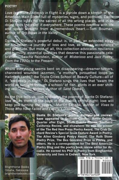 Love Is a Stone Endlessly in Flight: Poems