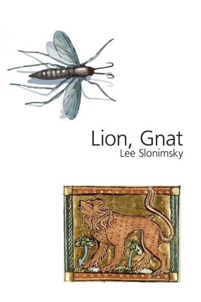Lion Gnat