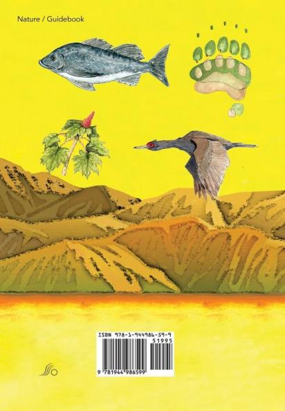 Alaska: Illustrated Guide for the Curious