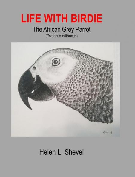 Life with Birdie The African Grey Parrot