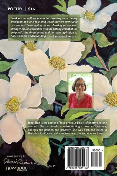 Obsession with the Dogwood