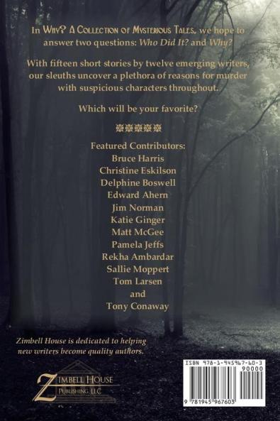 Why?: A Collection of Mysterious Tales: A Zimbell House Anthology