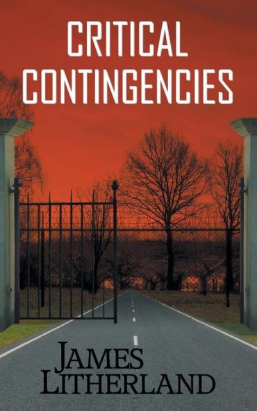 Critical Contingencies (Slowpocalypse Book 1)