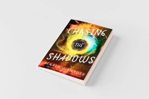 Chasing the Shadows
