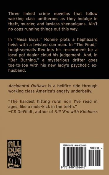 Accidental Outlaws