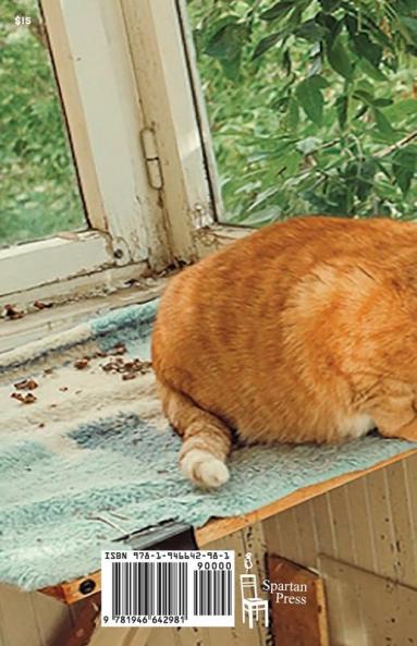 Talking to Squirrels