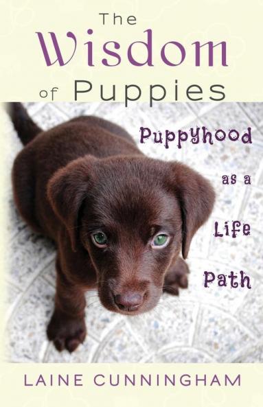 The Wisdom of Puppies: Puppyhood as a Life Path: 2 (Wisdom for Life)